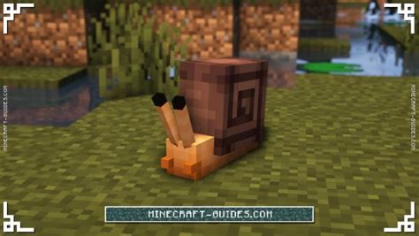 minecraft snail build|lovely snails.